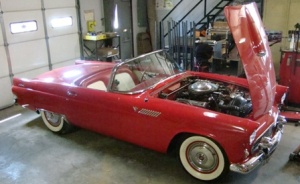 T Bird